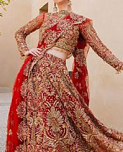Elaf Red Net Suit- Pakistani Chiffon Dress