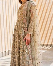 Elaf Grey Net Suit- Pakistani Designer Chiffon Suit