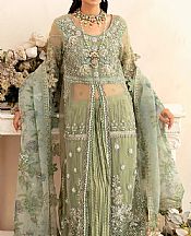 Elaf Pistachio Organza Suit- Pakistani Chiffon Dress