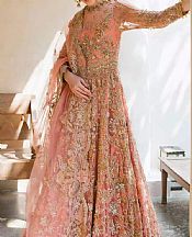 Elaf Peach Net Suit- Pakistani Chiffon Dress