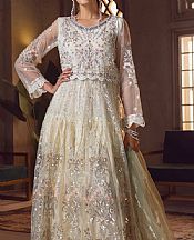 Off-white Net Suit- Pakistani Chiffon Dress