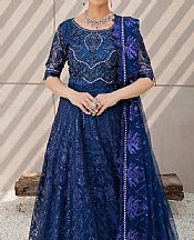 Dark Blue Net Suit- Pakistani Chiffon Dress