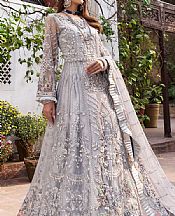 Light Grey Net Suit- Pakistani Chiffon Dress