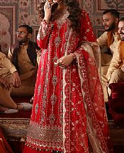 Red Chiffon Suit