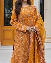 Orange Organza Suit