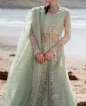 Light Green Organza Suit