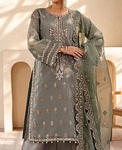 Grey Organza Suit