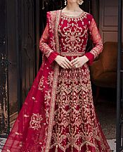 Vivid Burgundy Organza Suit