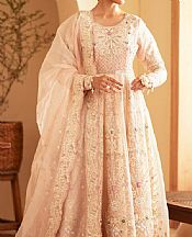 Light Pink Organza Suit