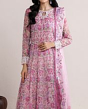 Light Pink Chiffon Suit