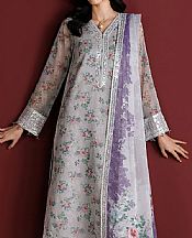 Grey Chiffon Suit