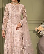 Flossie Oyster Pink Net Suit- Pakistani Designer Chiffon Suit
