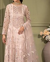 Flossie Oyster Pink Net Suit- Pakistani Chiffon Dress