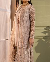 Flossie Pinkish Grey Net Suit- Pakistani Chiffon Dress
