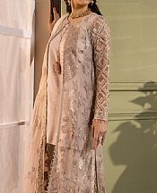 Flossie Pinkish Grey Net Suit- Pakistani Designer Chiffon Suit