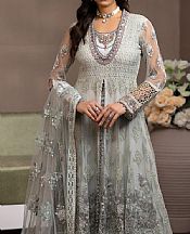 Flossie Grey Nickel Net Suit- Pakistani Designer Chiffon Suit