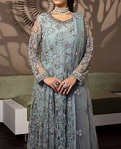 Flossie Regent Grey Net Suit- Pakistani Designer Chiffon Suit