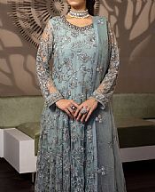 Flossie Regent Grey Net Suit- Pakistani Chiffon Dress