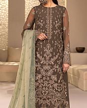 Flossie Grey/Green Chiffon Suit- Pakistani Designer Chiffon Suit