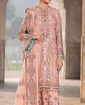 Peach Chiffon Suit
