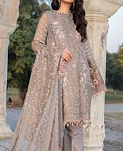 Grey Chiffon Suit