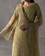 Light Green Chiffon Suit