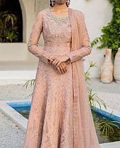Cavern Pink Organza Suit