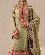 Freesia Sage Green Chiffon Suit- Pakistani Chiffon Dress