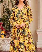 Garnet Amira- Pakistani Chiffon Dress