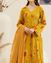 Garnet Sun Kissed- Pakistani Chiffon Dress