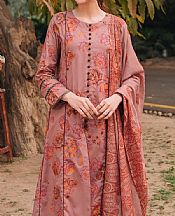 Garnet Mudslide- Pakistani Chiffon Dress