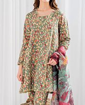 Garnet Meraki- Pakistani Chiffon Dress