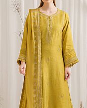 Garnet Umara- Pakistani Chiffon Dress