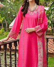 Garnet Apsarah- Pakistani Chiffon Dress