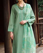 Garnet Oasis- Pakistani Chiffon Dress