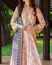 Garnet Apanah- Pakistani Chiffon Dress