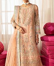 Peach Organza Suit