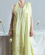 Lime Green Net Suit