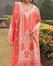 Coral Lawn Suit