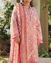 Pink/Off White Lawn Suit