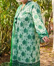 Light Green Lawn Suit