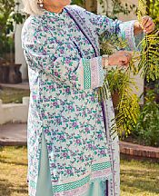 Light Blue Lawn Suit