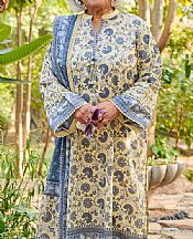 Cream Lawn Suit