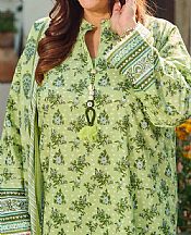 Pale Olive Lawn Suit