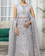 Light Grey Net Suit- Pakistani Chiffon Dress