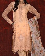 Peach Organza Suit