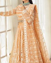 Peach Organza Suit
