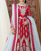 Rich Carmine Organza Suit