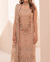Pale Taupe Organza Suit