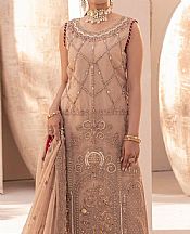 Pale Taupe Organza Suit